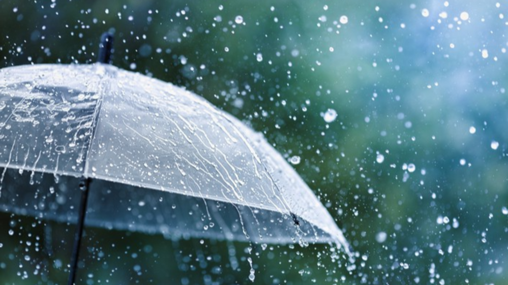 Traces of Longing at the End of the Rain